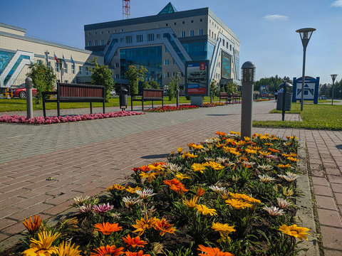 Noyabrsk, Russia - August 8, 2020:  Summer/autumn blossoming orange and yellow gerbera on a city flower bed