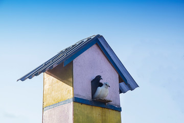 Dovecote in a garden against blue sky