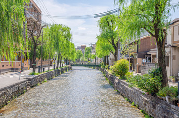 京都の白川