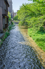 Fototapeta na wymiar 京都の白川