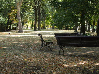 Parco pubblico