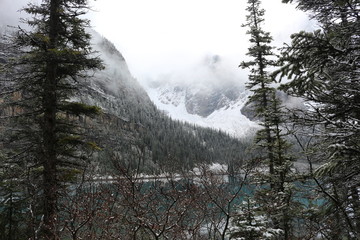 Moraine Lake - Albert Canada