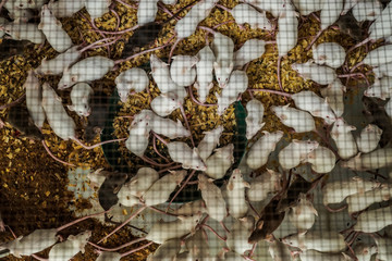 Mouse mice on the Cage