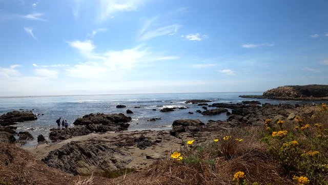 Scenic coastal views of Moonstone Beach in San Luis Obispo, California (USA). Golden poppy flowers in the foreground, people walking over tide pools in the background. August 15, 2020.