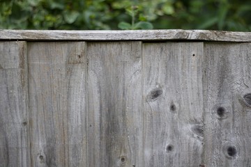 Old weathered wooden fence background with foliage at top of image