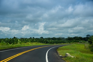 Curve in a two-lane road surrounded by a banana plantation. Colombia.