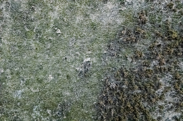 mildewed wall background