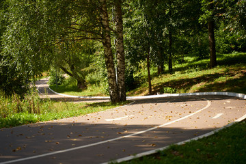 walking along the paths of the Park and falling leaves
