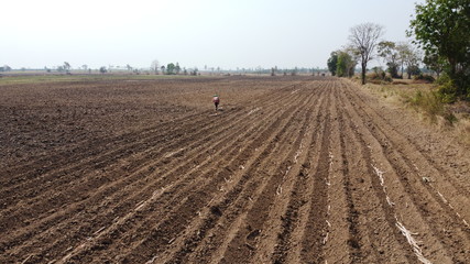 Sugarcane cultivation using farm machinery.