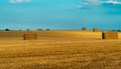 Fototapeta premium Wide straw field of a farm infront of horizon with no person