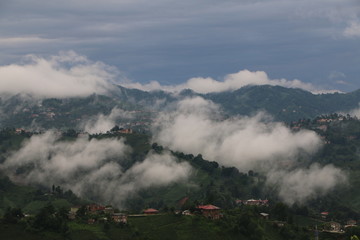 Fototapeta na wymiar fog and cloud mountains valley landscape / turkey / rize 