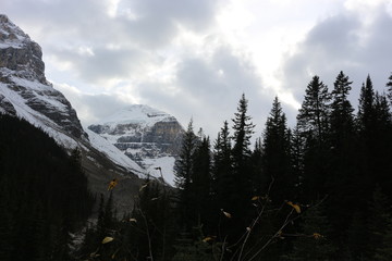 Plain of six glaciers trail - Lake Louise