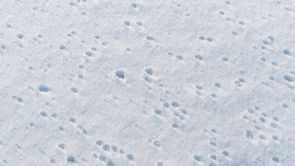 Abstract texture of melted snow with traces of drops