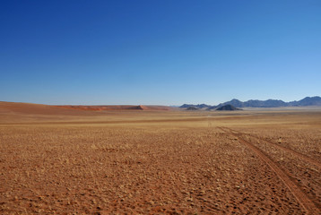 Fototapeta na wymiar A set of tracks of an adventurer over the desolation of the endless Haiber flats in the Namib Desert 