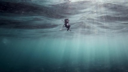 Sea Turtle Swimming Alone In The Ocean With Bright Sunrays Passing Through The Water.  - underwater