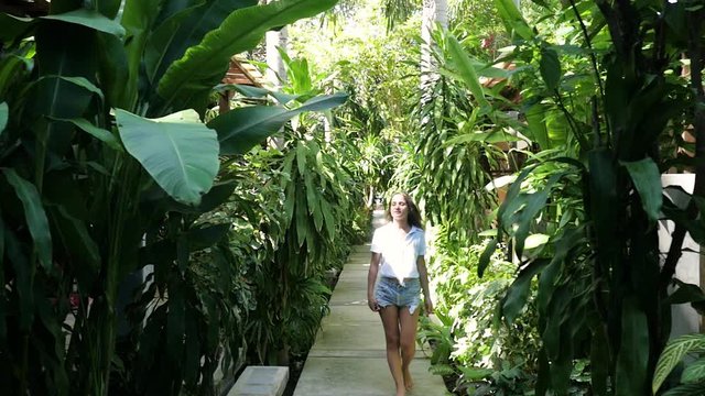 A young attractive girl is walking among tropical coconut trees. Close shot Slow motion. A young woman of European appearance walks in the tropics.