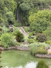 Waterfall in Tea Garden