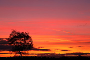 Fototapeta na wymiar Beautiful colorful sunrise, with red and orange colors in the nature reserve.