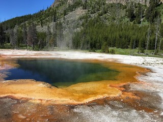 Emerald Spring (large)