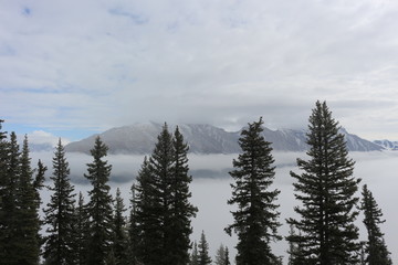 Views from Sulphur Mountain Banff