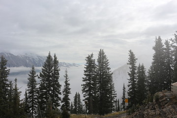 Views from Sulphur Mountain Banff