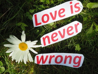 English proverb. cut the words. Love is never wrong