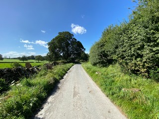 Fototapeta na wymiar Country road, with grass verges, wild plants, fields and trees in the distance near, Hetton, Skipton, UK