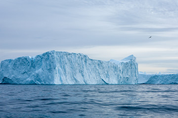 Iceberg in Greenland