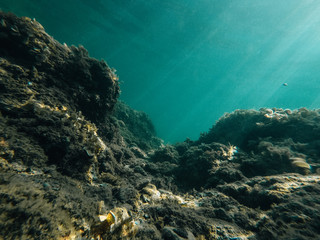 Fototapeta na wymiar Unterwasserwelt Mittelmeer