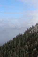 Views from Sulphur Mountain Banff