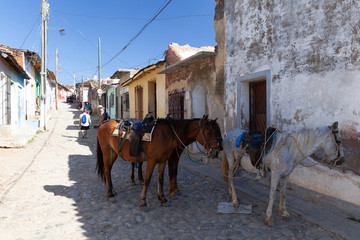 Horses as a traditional transport in Trinidad, Cuba