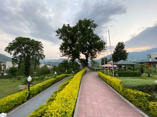 Fototapeta premium road in the park