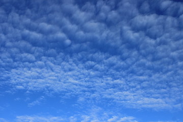 Small clouds high in the sky. Russia.