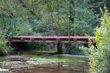 wooden pink bridge in the forest
