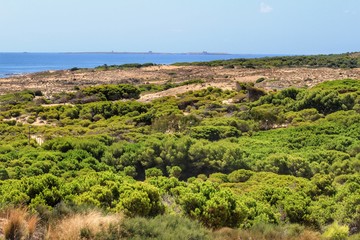 Carabassi Beach on Alicante coast