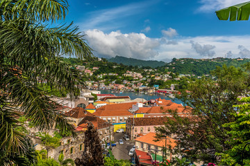 A glimpse through the foliage towards the inner harbour in St George in Grenada - obrazy, fototapety, plakaty