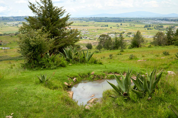 Paisaje con árboles y agua
