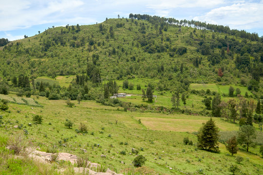Vista de un valle verde