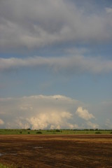 Naklejka premium agriculture landscape