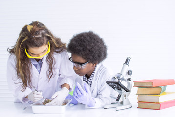 African black boy and caucasian girl studying science in classroom at school