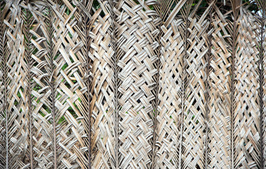 rattan pattern of dry coconut leaf for fencing
