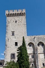Fototapeta na wymiar Tour aile gauche du palais des papes à, Avignon - France