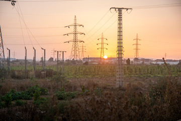 City landscape, field and city with high-rise buildings lit by the sun at sunset