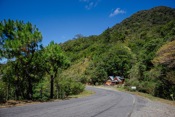 Road beautiful Landscape