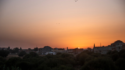 City landscape, field and city with high-rise buildings lit by the sun at sunset