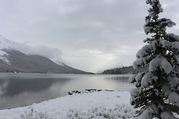 Moraine Lake in winter -  Alberta Canada