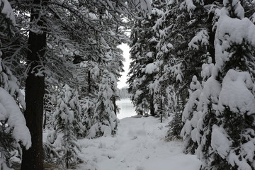 Moraine Lake in winter -  Alberta Canada