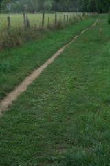 Pfad oder Weg für die Landwirtschaft mit viel Gras und einigen Fahrspuren
