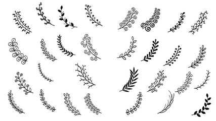 Abstract Set Doodle Elements Hand Drawn Collection Flora Leaf Branch Vine Flower Plant Elements F Vector Desgin Style