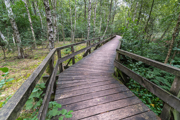 Wooden Walkway at the Uferweg, Steinhuder Meer, Germany